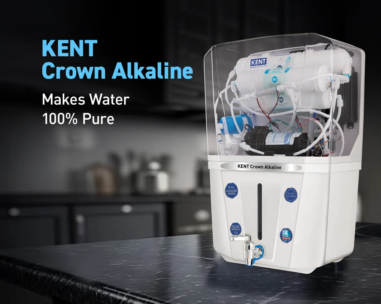 KENT Crown Alkaline