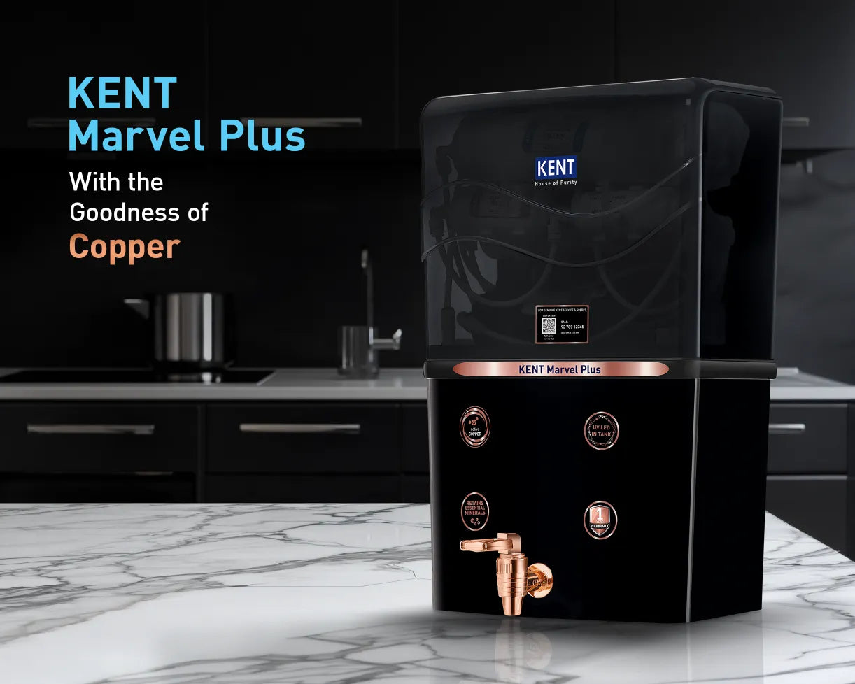 KENT Marvel Plus-B
